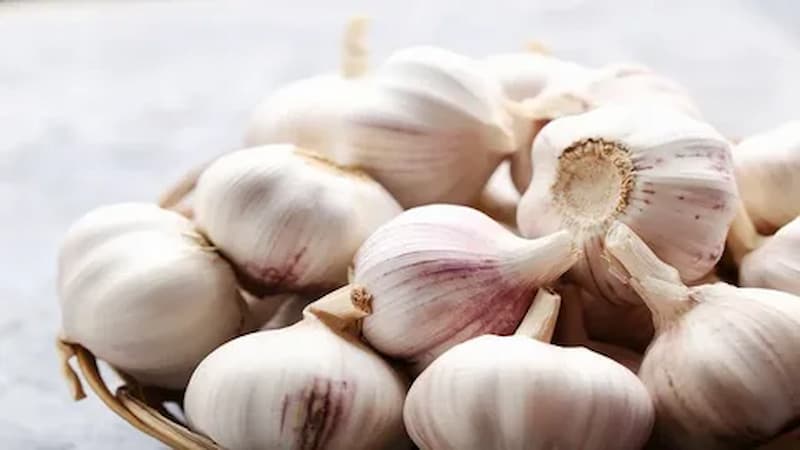 تصویر 4 از سیر اصفهان شیرین درجه یک با تندی کم و طعمی عالی